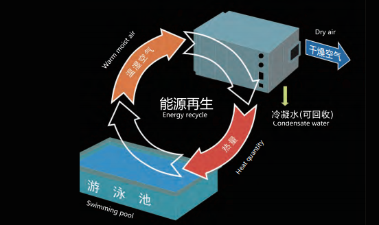 別墅室內(nèi)恒溫游泳池